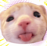 Profile picture of Sea Sote